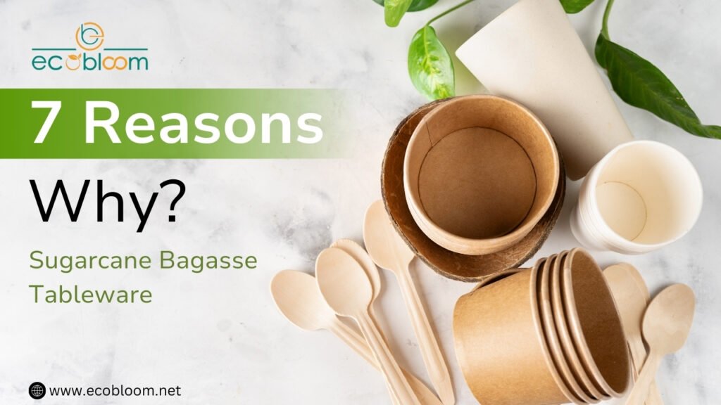 7 Reason Why to Choose Sugarcane Bagasse Tableware